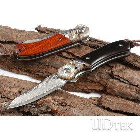Black Free Wolf  VG10 Damascus steel folding knife UD405461